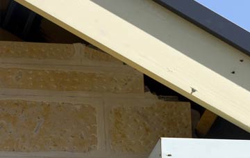 soffit repair Carterhaugh